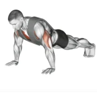 Home Workout - Push Pull Legs